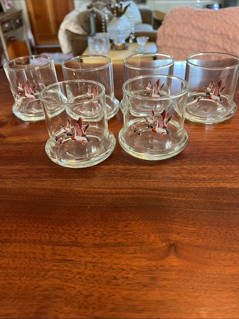 Set of 6 Clear Duck-Illustrated Shot Glasses - Clear with Brown/Green Accents